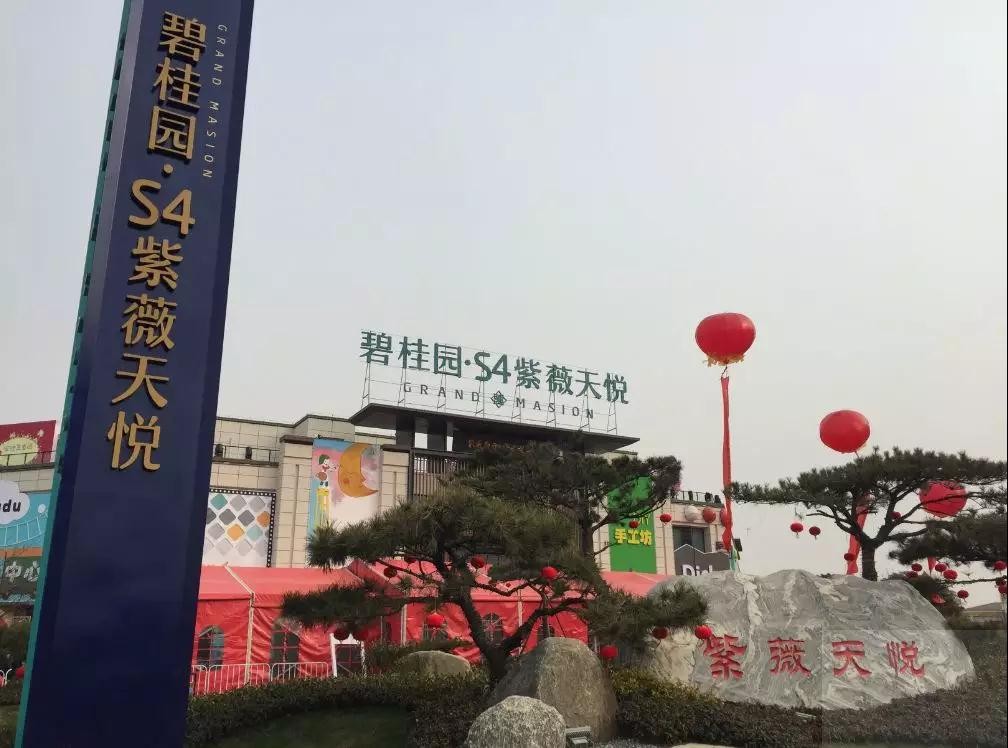 碧桂園紫薇天悅 碧桂園紫薇天悅